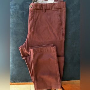 Maroon Chinocs